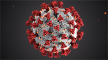 Coronavirus Resources for the Church